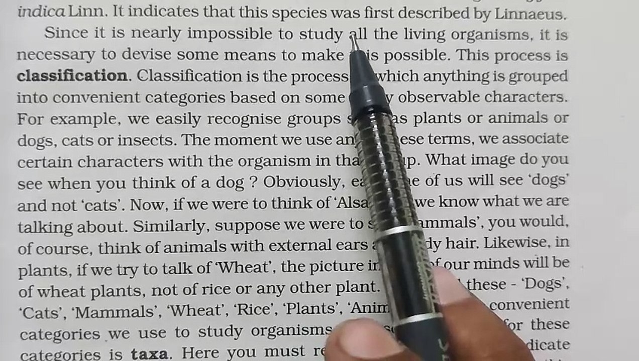 Difference between Taxa and Categories