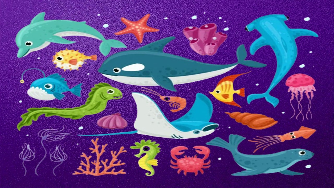 water animals | jal mein rehne wale jantu ke naam | water animal name hindi and english | vocabulary