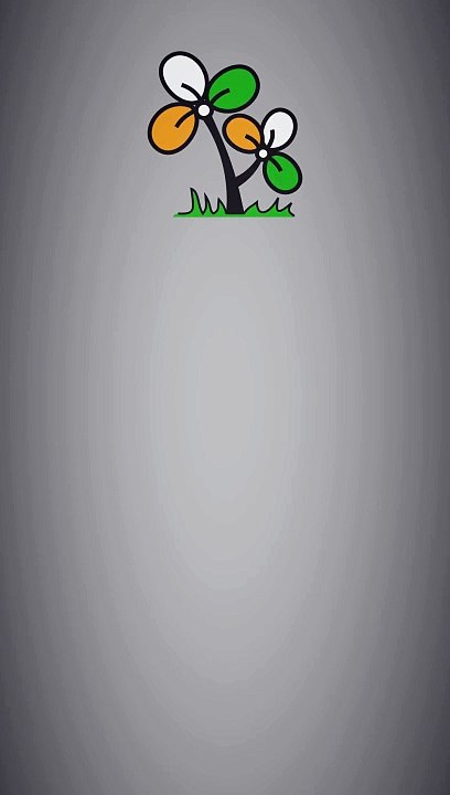 Lok Sabha Electoral Performance - TMC