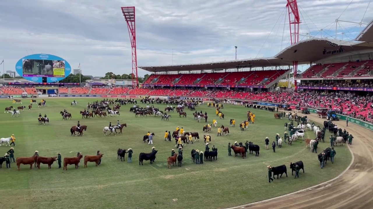 Getting the Upper Land | Episode 27