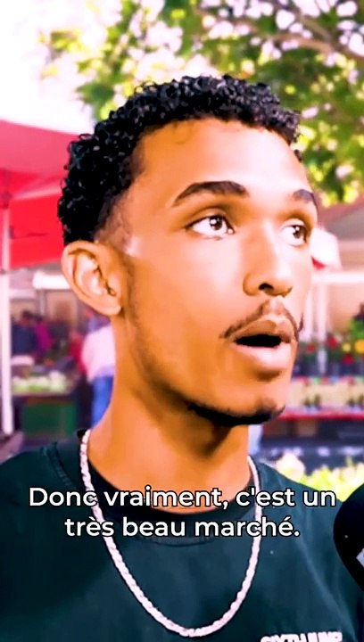 Découvrez la Beauté de la Plaine-des-Palmistes 🌿