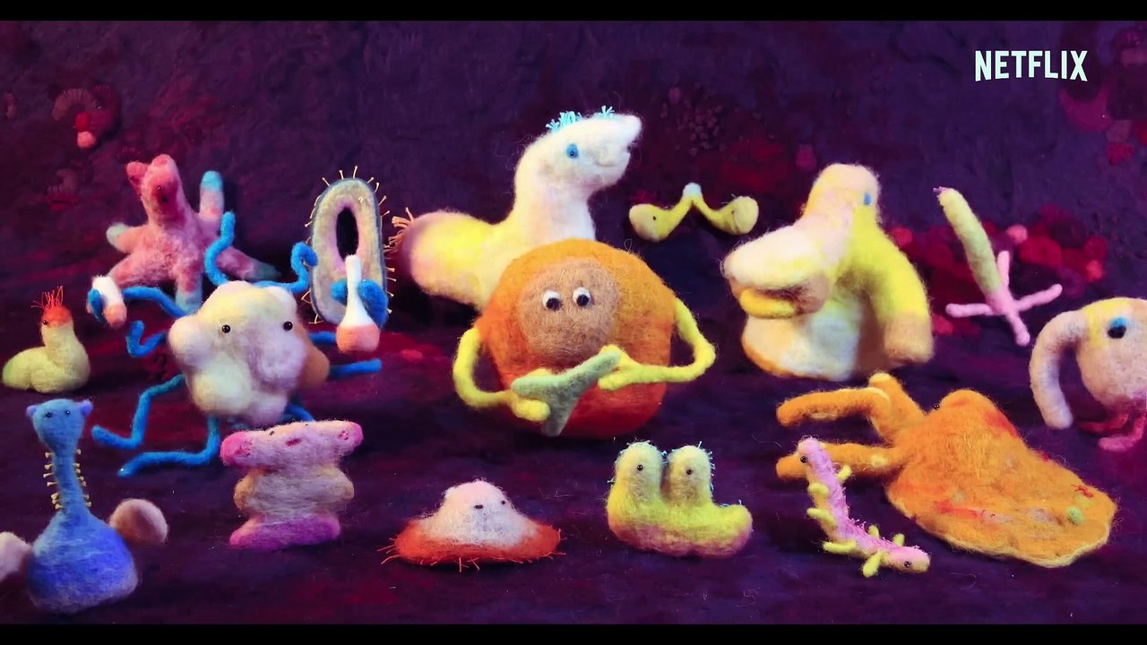 Hack Your Health The Secrets of Your Gut