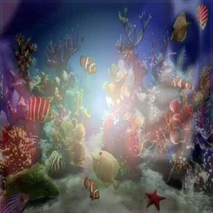 Dora The Explorer S04E11 Baby Jaguar's Roar