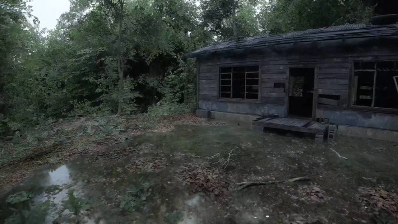 Neues Horror-Spiel in UE5 sieht so täuschend echt aus, dass wir uns nie wieder in den Wald trauen