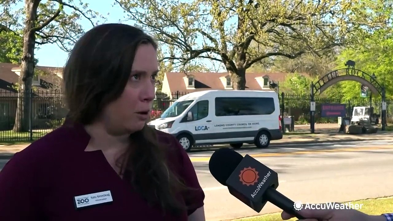 How will animals react to the solar eclipse at the zoo?