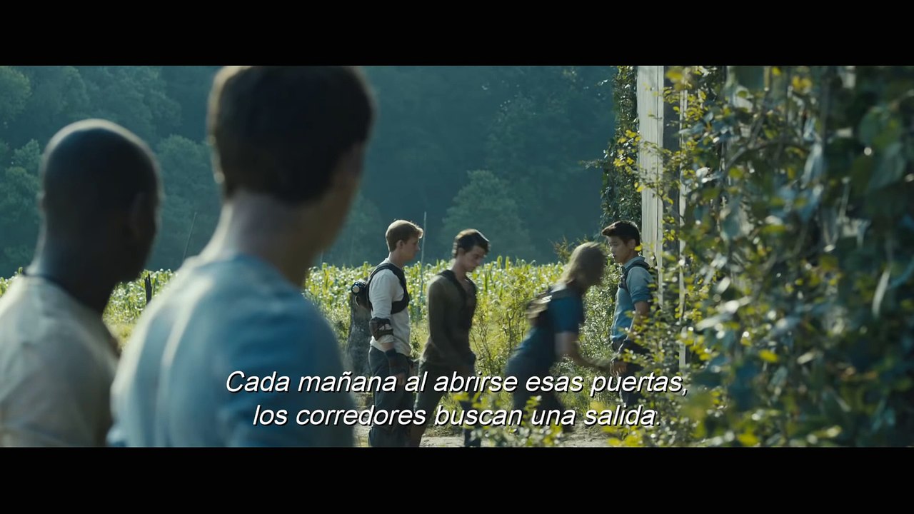 'El corredor del laberinto', tráiler