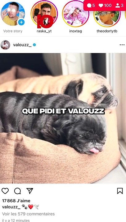 LE CHIEN DE PIDI ET VALOUZZ EST MORT LE 2 AVRIL