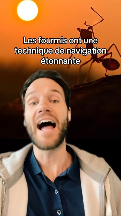 Des animaux incroyables 