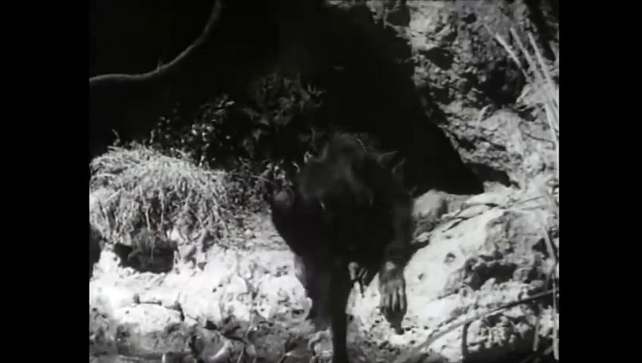 La venganza de Tarzán - Película clásica completa en español