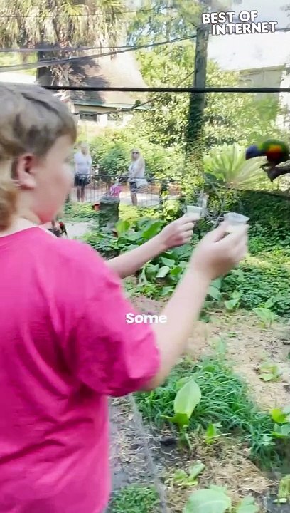 Bird Buffet BLITZ | Kids Get More Than They Bargained For