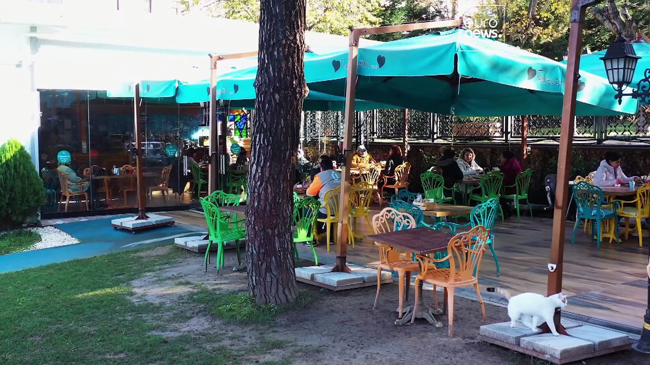 Watch: Turkish café serves cakes, coffee and workplace inclusivity