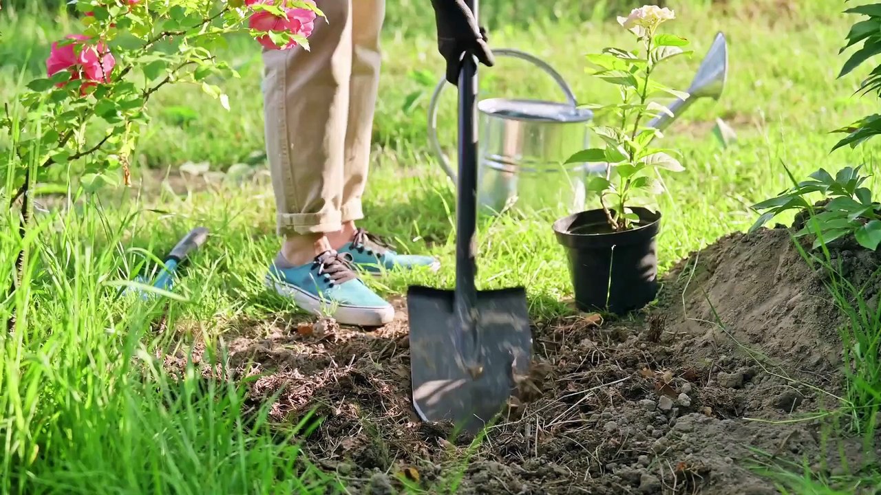 Uprawa warzyw i owoców - prace wiosną