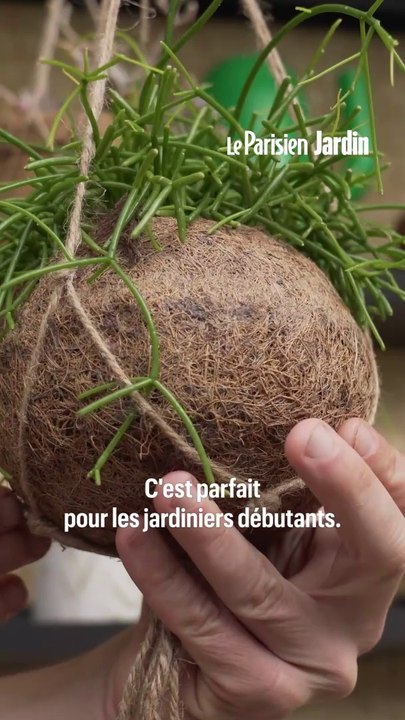 Comment créer un kokedama suspendu ?
