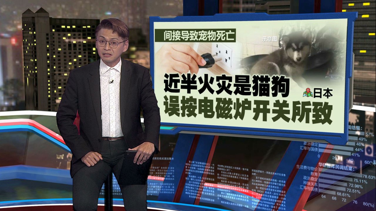 饲养宠物存在安全隐患   日本宠物10年引发54起火灾