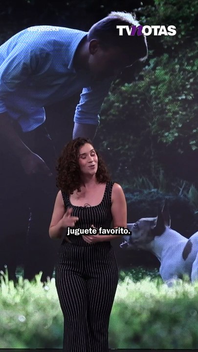 ¿Estás entrenando a tu perro?