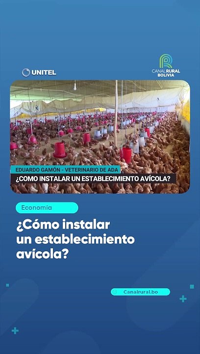 ¿Cómo instalar un establecimiento avícola?