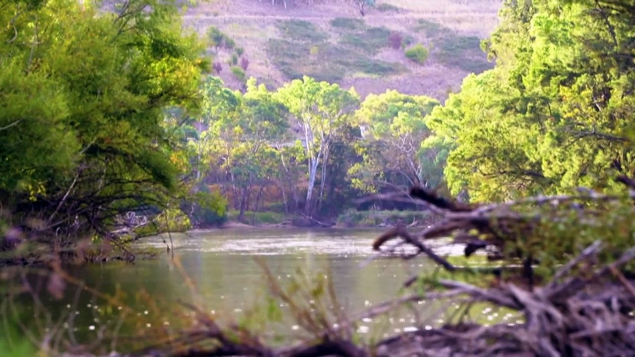 Rural training linked to staff retention in Australia