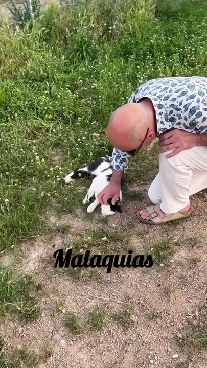 Manuel Luís Goucha com o marido