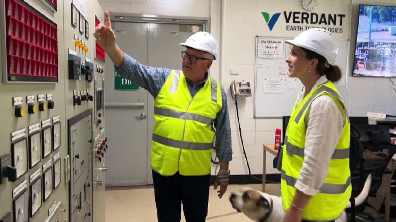 Plans afoot for invasive weeds to fuel a renovated modern biomass generator at Redbank