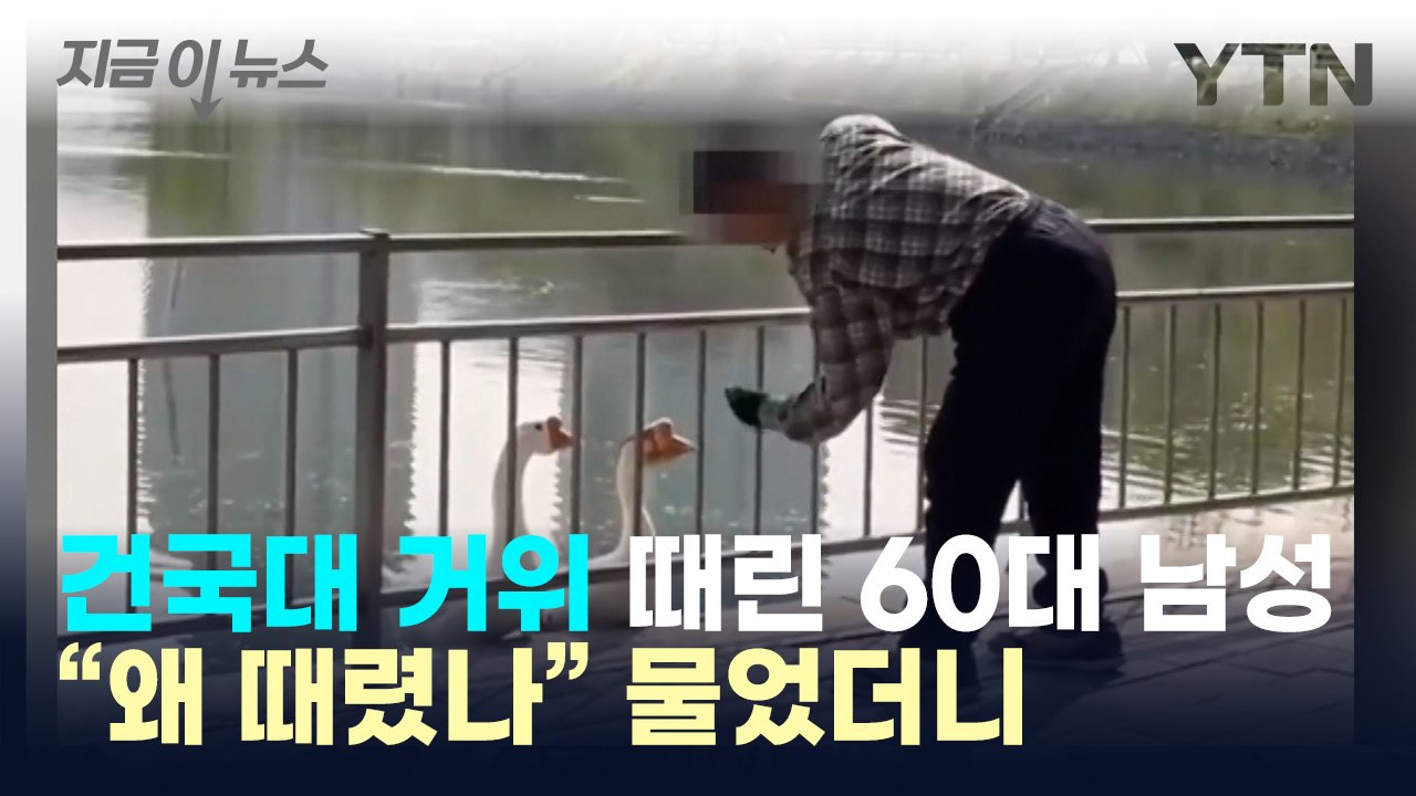 건국대 거위 때린 60대, "왜 때렸나" 물었더니... [지금이뉴스] / YTN