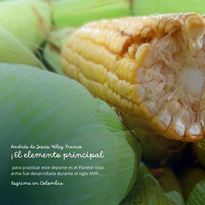 -ANDRÉS DE JESÚS VÉLEZ FRANCO- EL FLORETE COMO ARMA BÁSICA (PARTE 2) (@AndresdeJesus90)