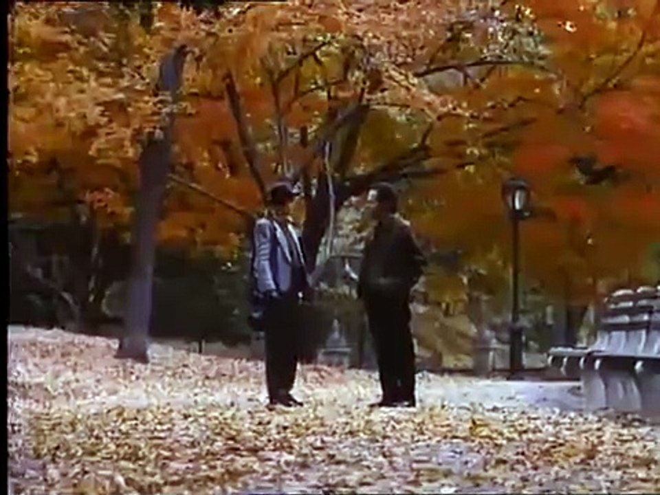 When Harry Met Sally... (1989): Trailer HQ
