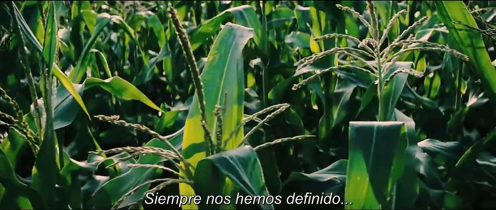 INTERESTELAR - Tráiler 1 Subtitulado