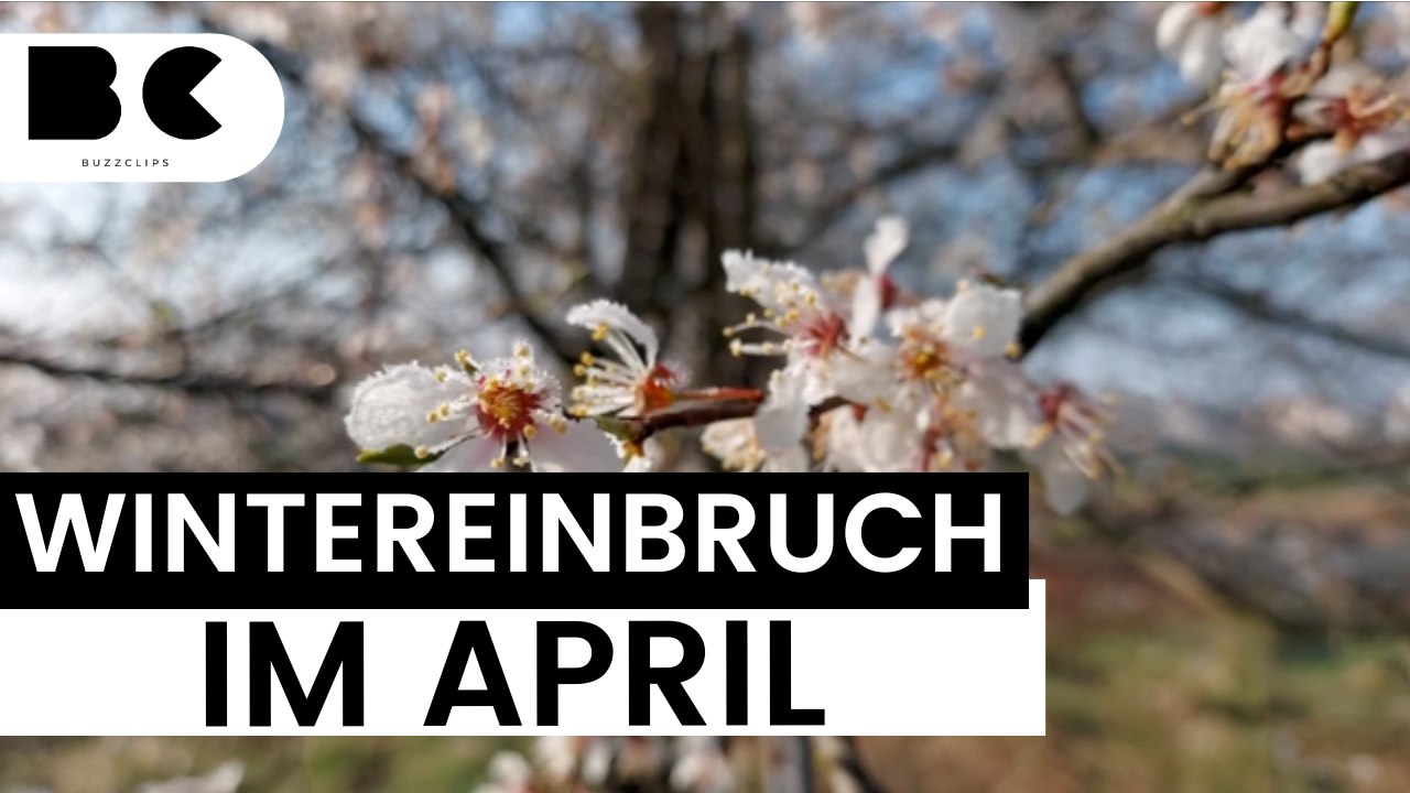 Minusgrade und Schneefall am Wochenende!