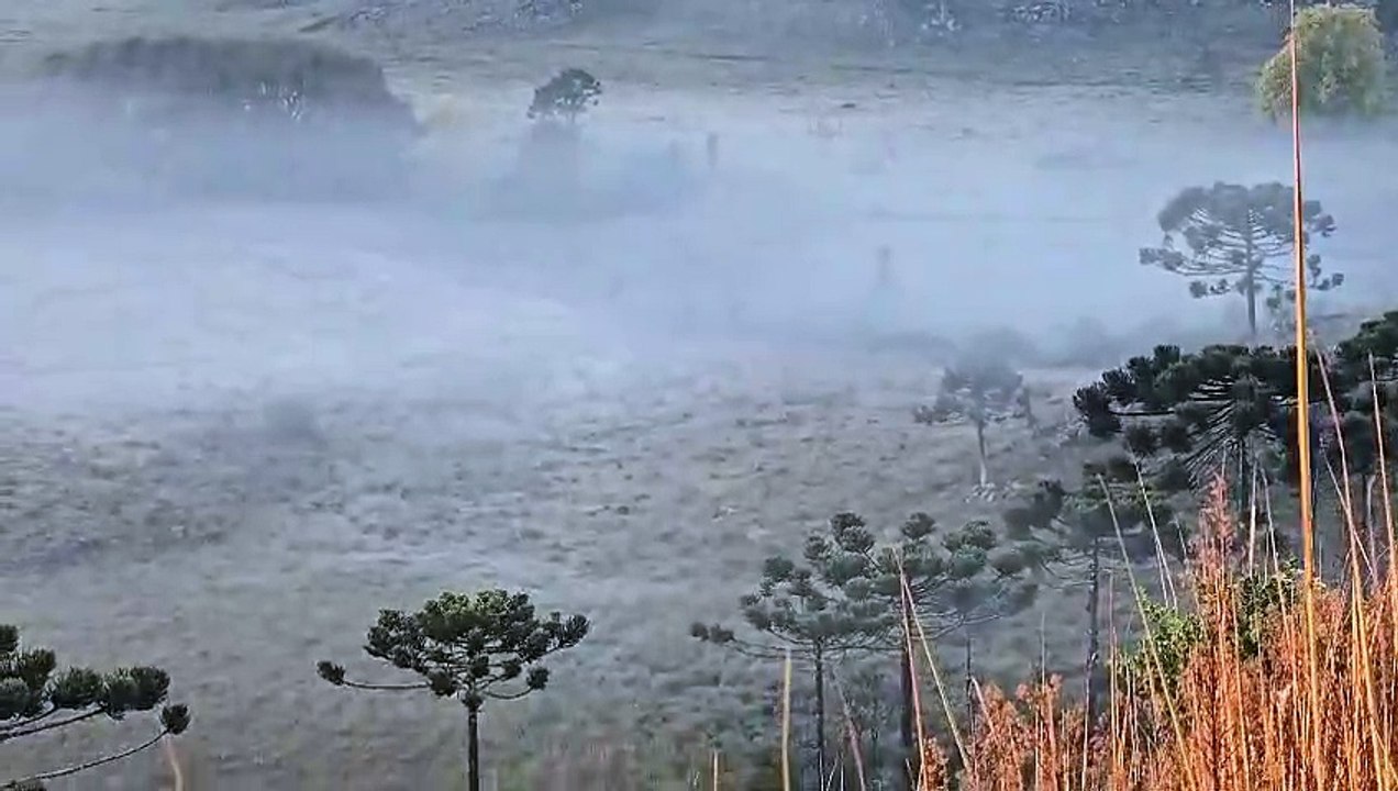 SC amanhece abaixo de zero e registra a menor temperatura do ano