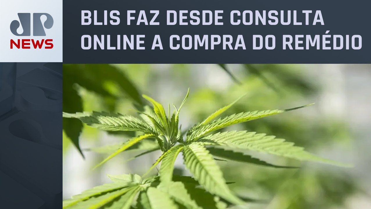 Uso de cannabis ajuda pacientes com doenças crônicas
