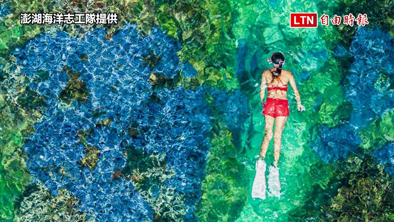 海底薰衣草森林美景恐消失！南方四島國家公園現珊瑚危機（澎湖海洋志工隊提供）