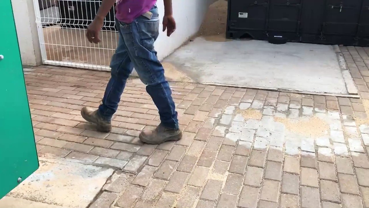 Agressor da mulher que pediu socorro em escola é preso pela GM