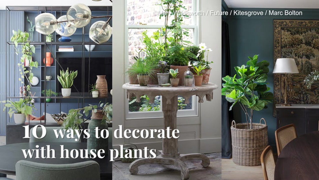 Tips On: Using Plants To Decorating Your Home