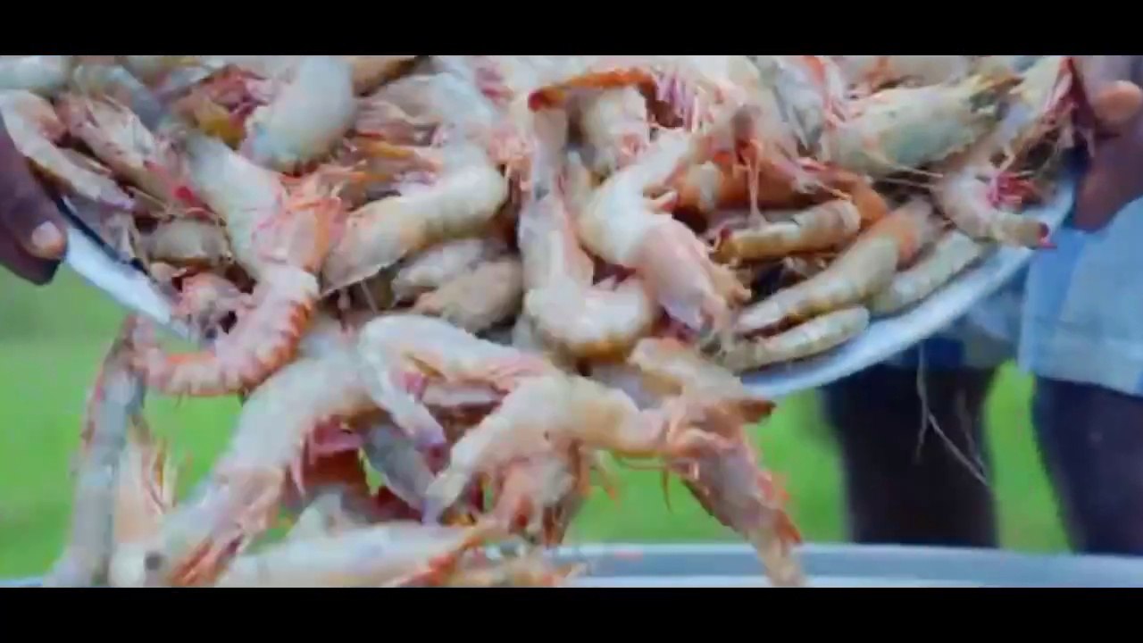 BUTTER GARLIC PRAWNS