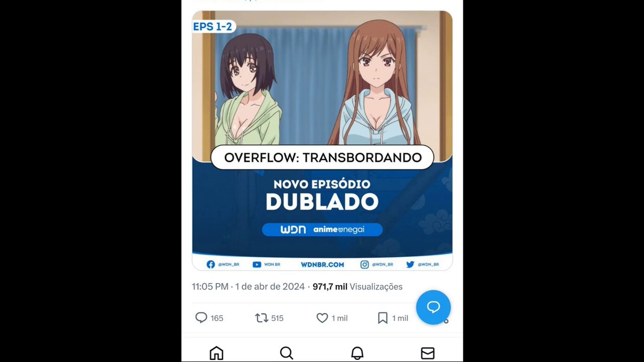 Chapolin - Overflow Dublado - 1º de abril