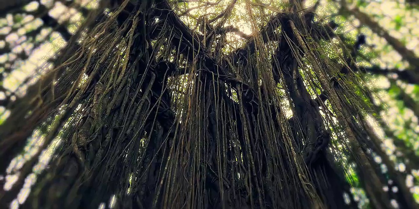 House of Secrets The Burari Deaths S01 E02