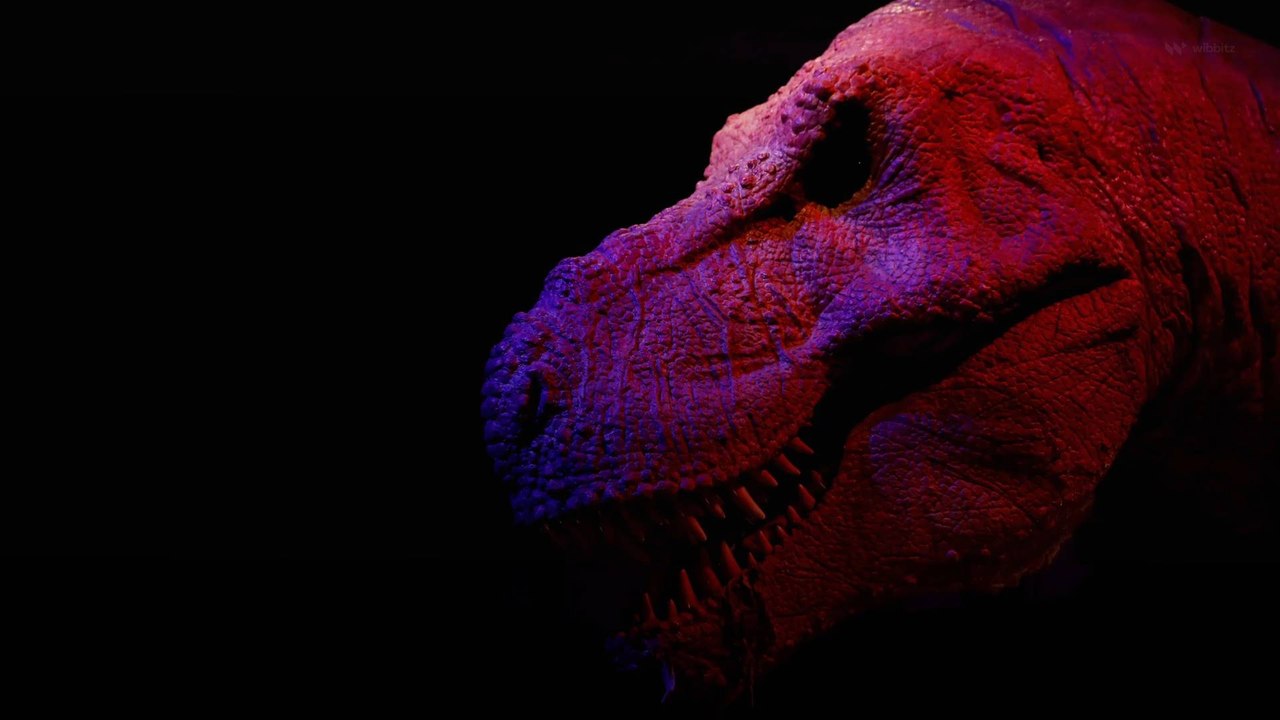 Scientists Question Claim That T. Rex Was as Smart as Modern Monkeys