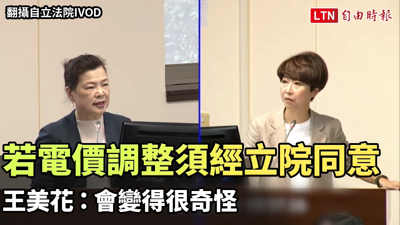 若電價調整須經立院同意 王美花：會變得很奇怪（翻攝自立法院IVOD）