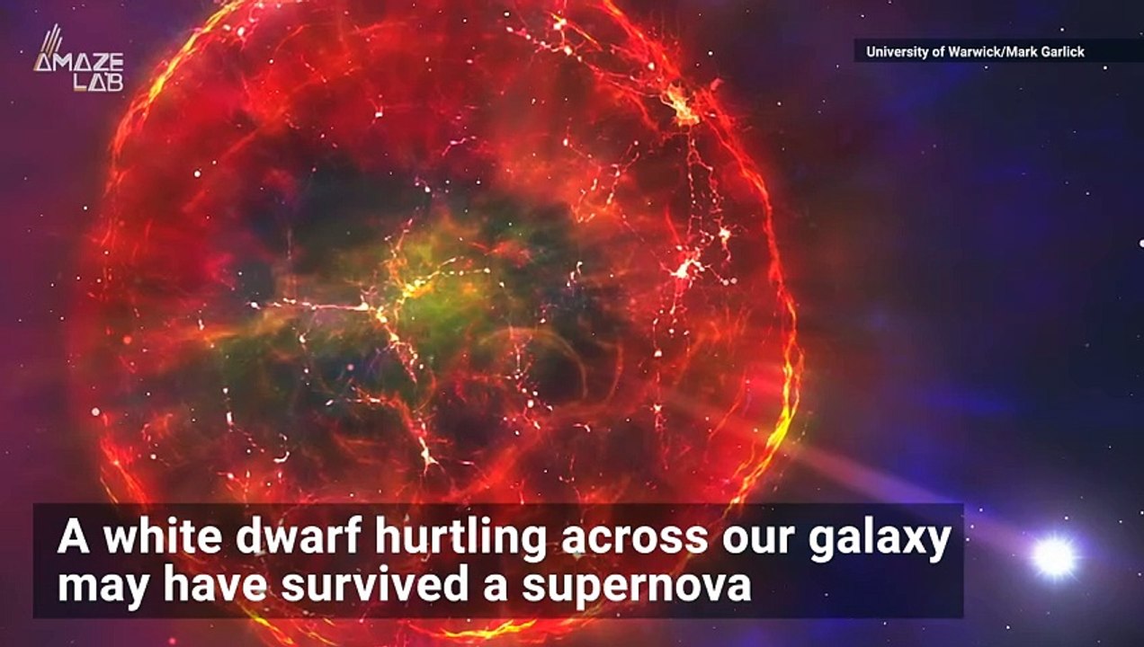 Did This Star Traveling Across The Milky Way Survive a Supernova?