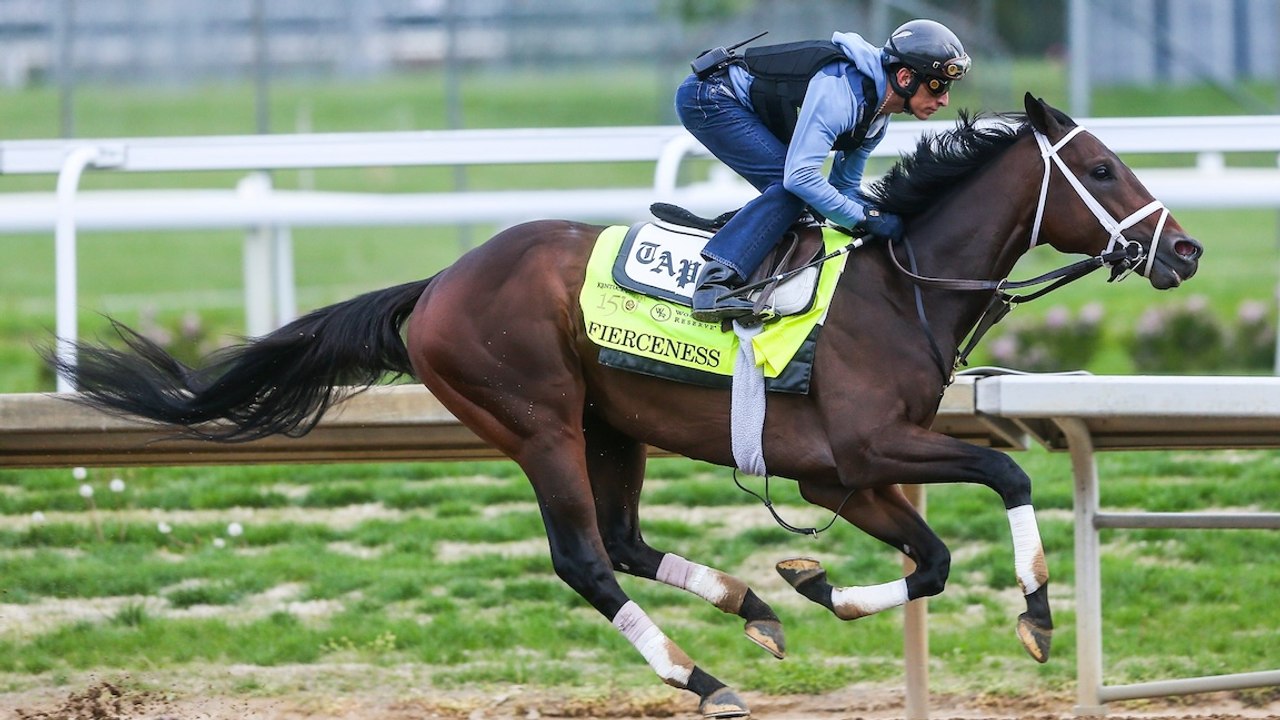 Kentucky Derby: How Field Size Influences Race Dynamics