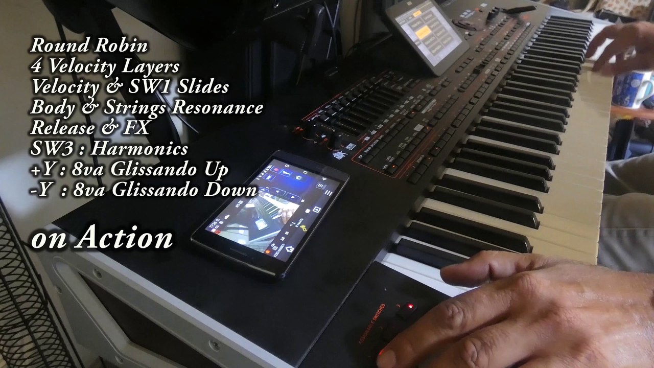 Korg Pa5X-4Χ Premium DNC Articulation