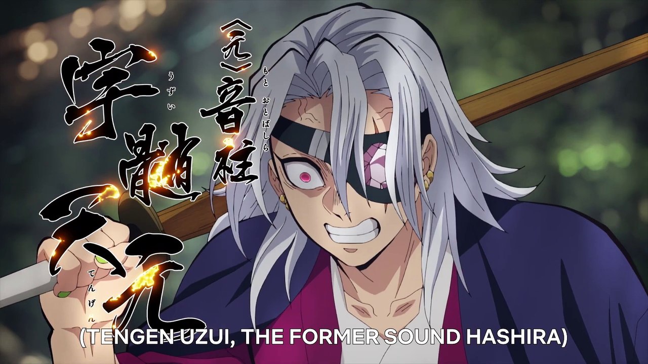 Demon Slayer Kimetsu no Yaiba Hashira Training Arc Trailer