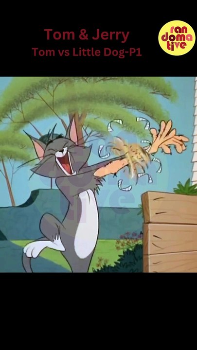 Tom & Jerry-Tom Vs Little Dog-P1 | Top Cartoons | Tom and Jerry Cartoon | Cartoons for Kids |