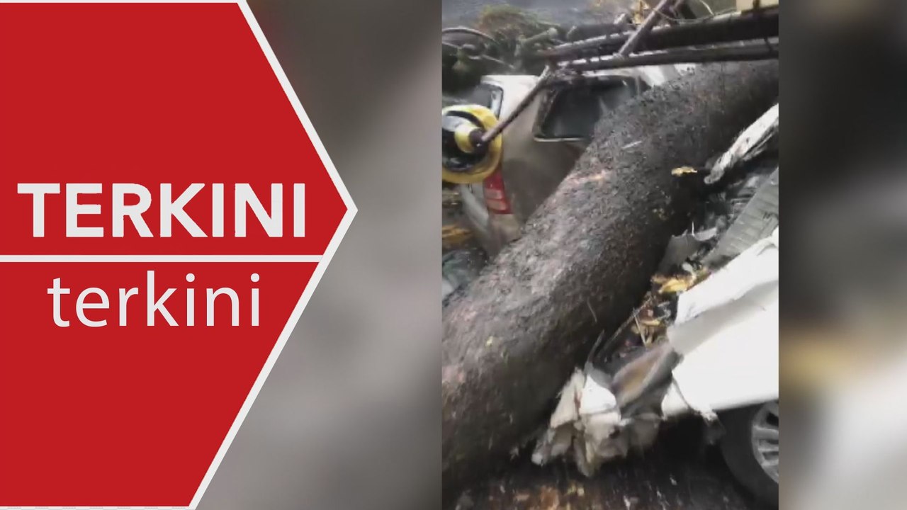[TERKINI] Seorang maut dalam kejadian pokok tumbang di Jalan Sultan Ismail