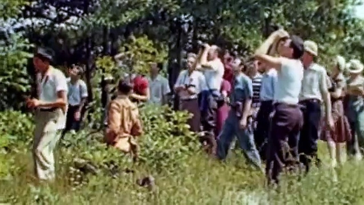 All Watched Over by Machines of Loving Grace - Episode 2 - The Use and Abuse of Vegetational Concept