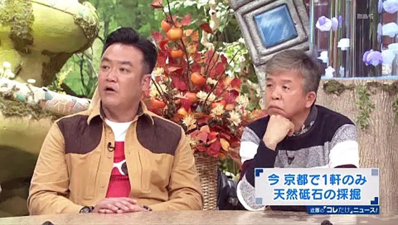 2018-11　ちちんぷいぷい