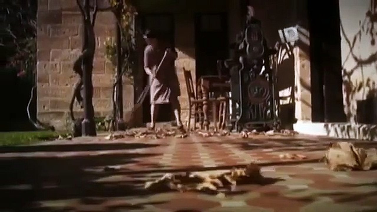 AS VERDADEIRAS MULHERES ASSASSINAS- SE A BELEZA PUDESSE MATAR #ID #INVESTIGAÇÃO #DISCOVERY #BLACKLIST