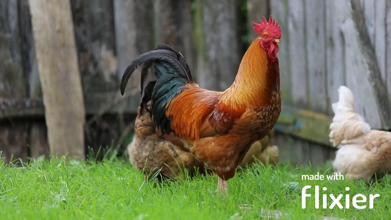 موسيقى رومانسية هادئة   موسيقى هادئة تريح الاعصاب