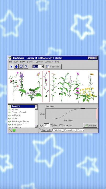 Les Plantes sont-elles Conscientes ?