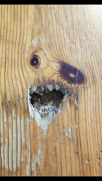 Faces Appeared on the Wooden Items #pareidolia #illusion #wood